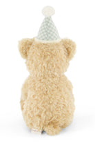 Plush teddy bear with a party hat on a white background