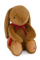 Brown plush bunny with a red bow tie on a white background