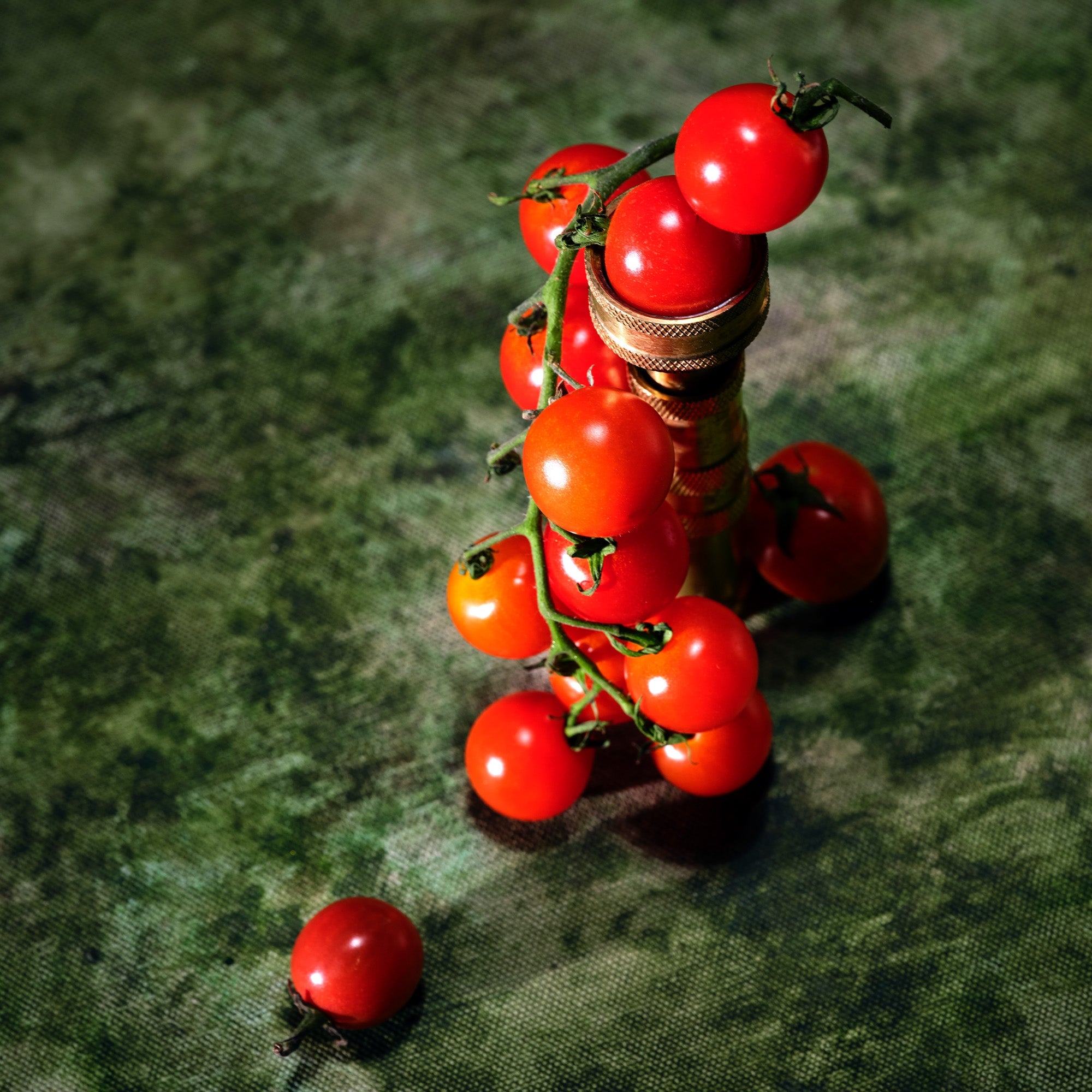 A cluster of bright red cherry tomatoes on the vine with green stems, arranged on a textured dark green surface.