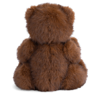 Brown teddy bear from behind on a white background
