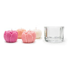 Set of pink and white tulip-shaped candles with a clear glass holder on a white background