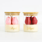 Two clear glass jars with bamboo lids and cream-colored bases, each containing a tulip-shaped jolly cup. One cup is light pink and the other is dark red, with the brand name 'Jolly cup' printed in gold on the base.