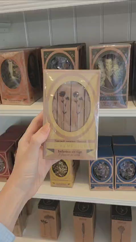 NATURE チェビン CHAEBIN ペンミ 国別 15ヵ国 セット トレカ NATURE チェビン CHAEBIN ペンミ 国別 15ヵ国 セット トレカ