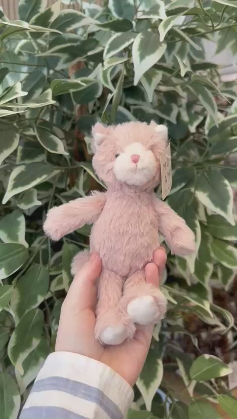 Mon Ami Kitty - Pink – JINI MINI