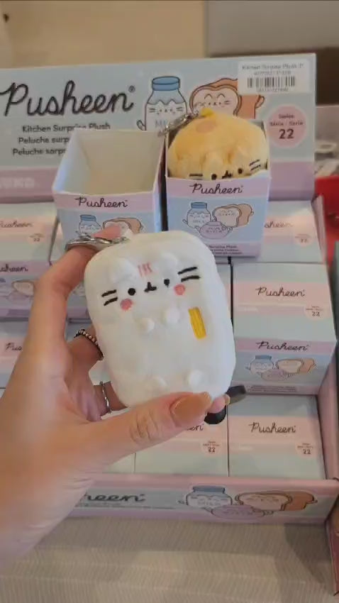 Kitchen Surpise Plush 3