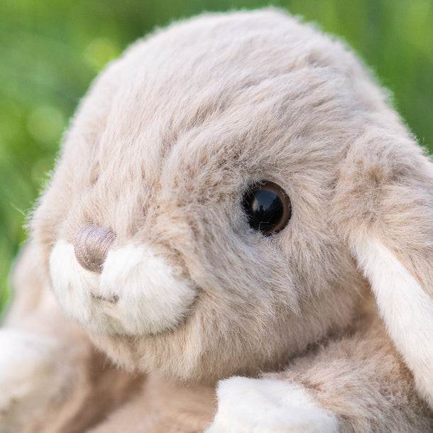 Close-up of a fluffy bunny with a blurred green background