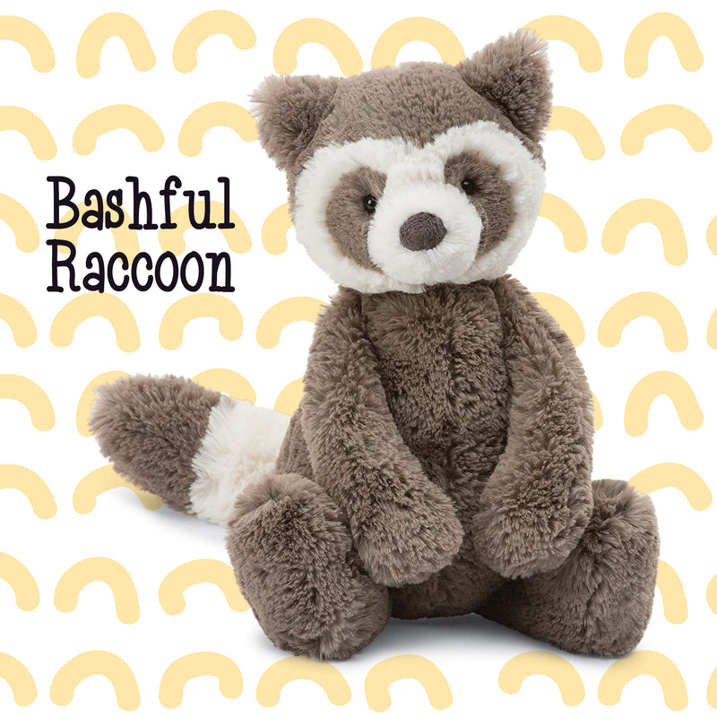 Bashful Raccoon
